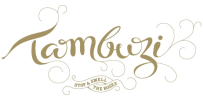 Tambuzi